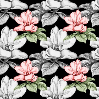 Güzel Manolya çiçek çiçeklenme