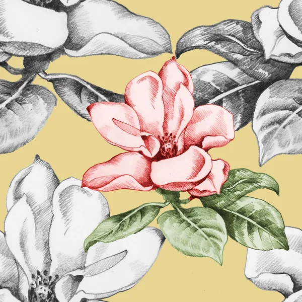 Kwitnące kwiaty magnolia zaostrzona — Zdjęcie stockowe
