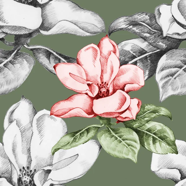 Fioritura bei fiori di magnolia — Foto Stock