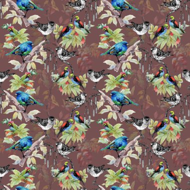 dallar üzerinde kabataslak kuşlar