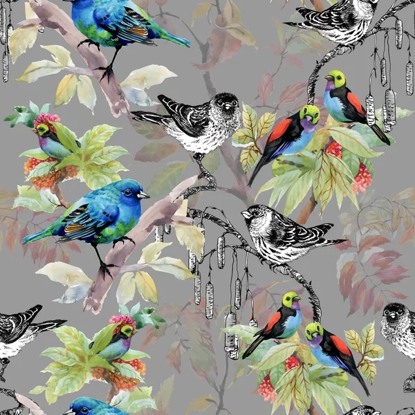 Skizzierte Vögel auf Zweigen — Stockfoto