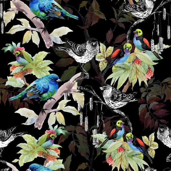 Skissade fåglar på kvistar — Stockfoto