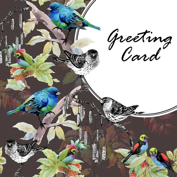Skissade fåglar på kvistar kort — Stockfoto