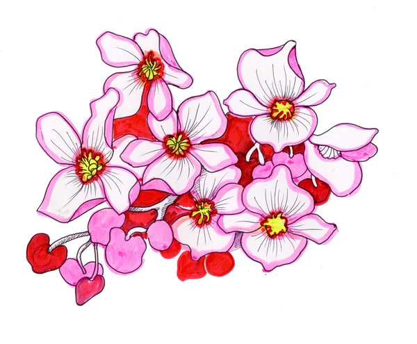 Aquarel bloeiende roze bloemen — Stockfoto