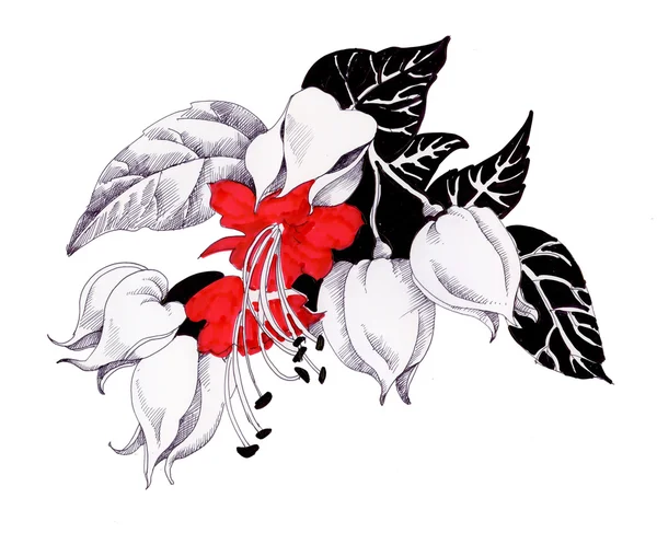 Цветущие акварелью цветы — стоковое фото