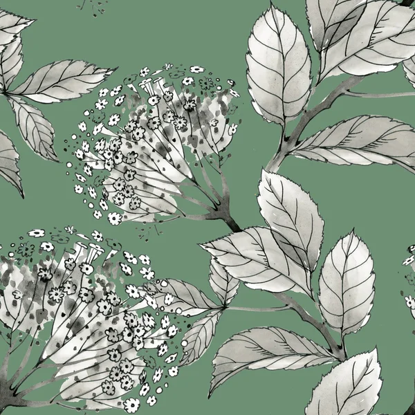 Fiori e foglie monocromatici — Foto Stock