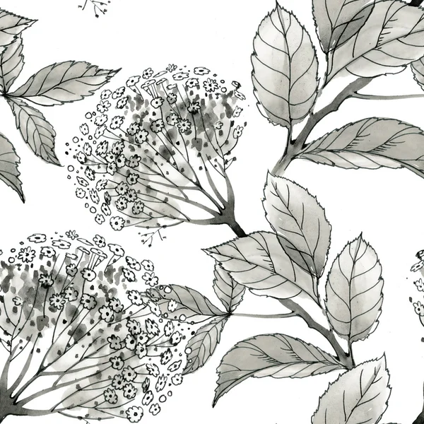흑백 꽃과 잎 — 스톡 사진