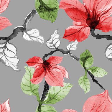 Güzel Manolya çiçek çiçeklenme