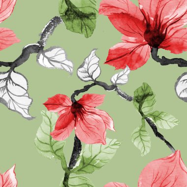 Güzel Manolya çiçek çiçeklenme