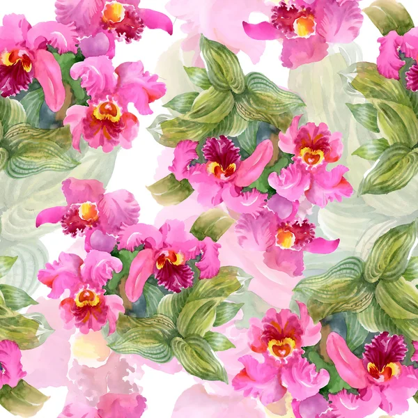Blühende Orchideenblumen — Stockfoto
