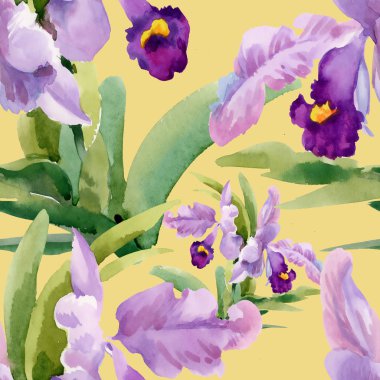 Orkide çiçek çiçeklenme