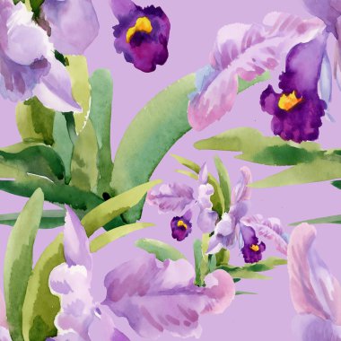 Orkide çiçek çiçeklenme