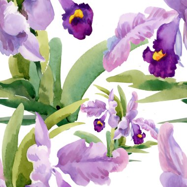 Orkide çiçek çiçeklenme