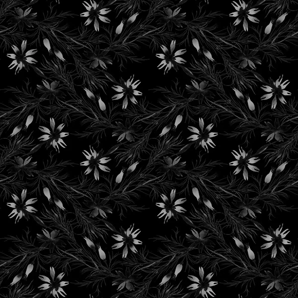 Monochrome cornflowers and herbs pattern — Stock Photo, Image