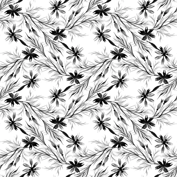 Monochrome cornflowers and herbs pattern — Stock Photo, Image