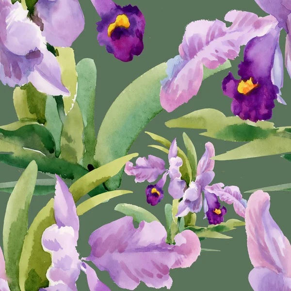Blühende Orchideenblumen — Stockfoto