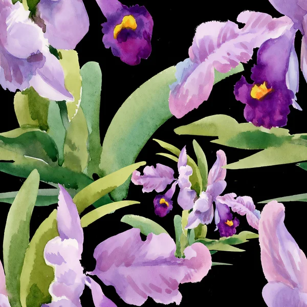 Bloeiende orchideebloemen — Stockfoto