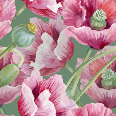 Çiçek açan Poppies çiçekler