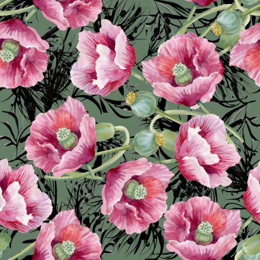 Çiçek açan Poppies çiçekler
