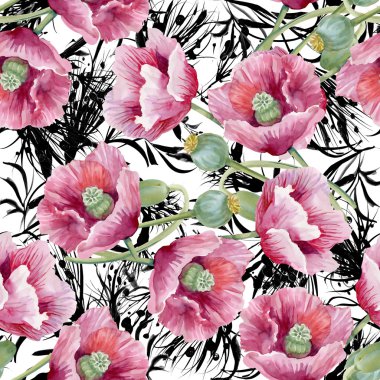 Çiçek açan Poppies çiçekler