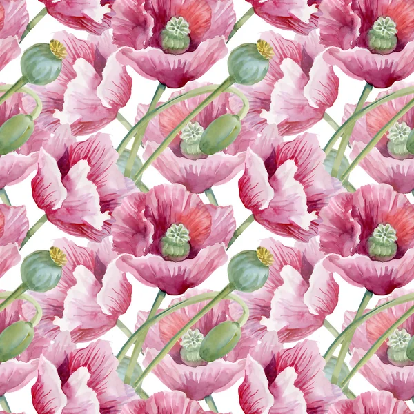 Blühende Mohnblumen — Stockfoto