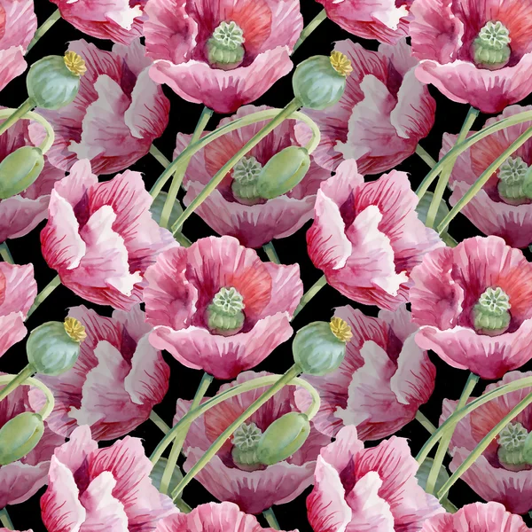 Blühende Mohnblumen — Stockfoto