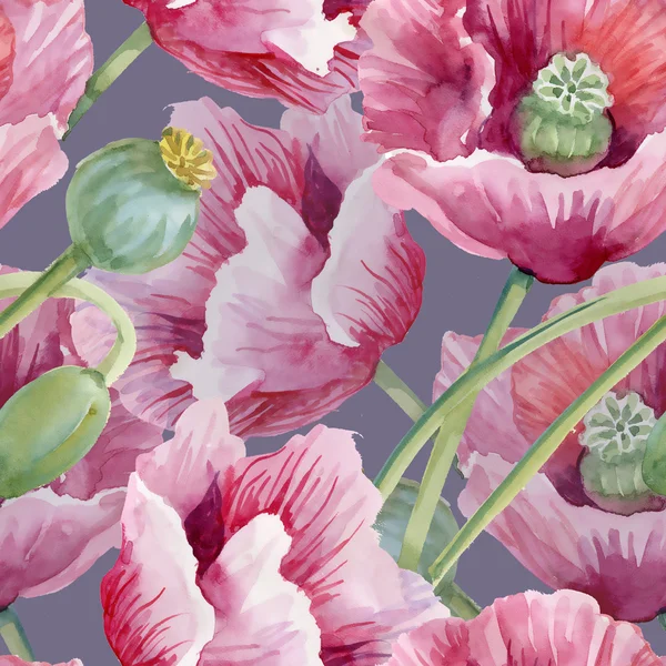 Flores de papoilas florescentes — Fotografia de Stock