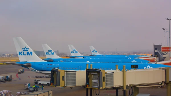 KLM αεροπλάνο που φορτώνεται στο αεροδρόμιο Schiphol. Άμστερνταμ, Ολλανδία — Φωτογραφία Αρχείου