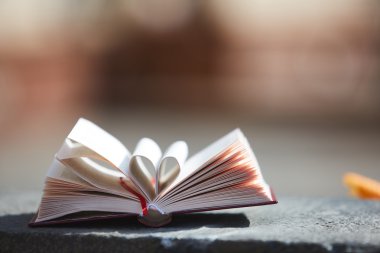 Kalp kitap sayfası