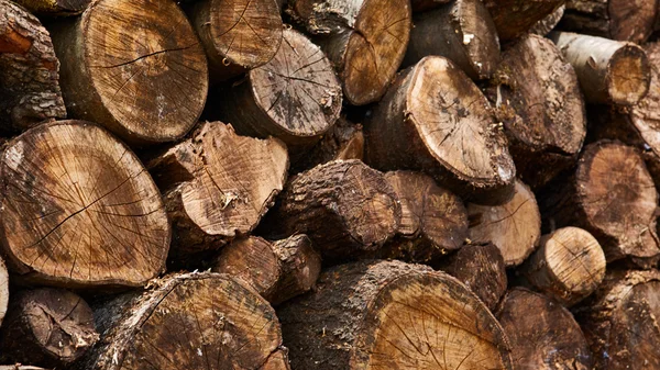 Leña seca en una pila para encender el horno —  Fotos de Stock