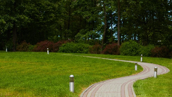 Kamenná cesta v zeleném parku — Stock fotografie