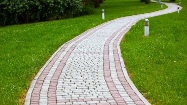 Ağaçlar ve kaldırımlar parktaki yeşil çimlerin üzerinde sabah