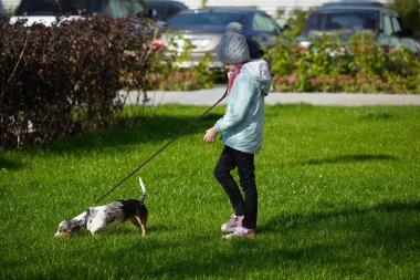 Sonbahar güneşli parkında dachshund köpeğiyle oynayan kız çocuğu.