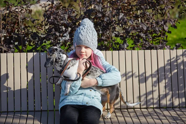 Malá blondýnka dívka a milující štěně jezevčík — Stock fotografie