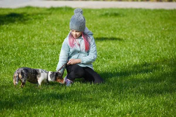 Lány gyermek játszik tacskó kutya ősszel napos park — Stock Fotó