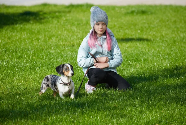 Fille enfant jouer avec dachshund chien en automne parc ensoleillé — Photo