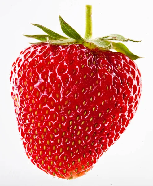 Die Bio-Erdbeeren Beere auf weißem Hintergrund — Stockfoto