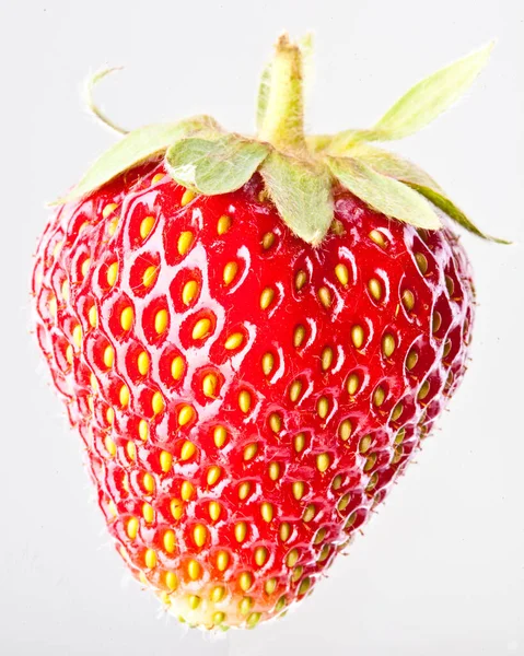 Die Bio-Erdbeeren Beere auf weißem Hintergrund — Stockfoto