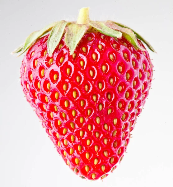 Die Bio-Erdbeeren Beere auf weißem Hintergrund — Stockfoto