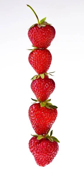 Frische Erdbeeren in einer Reihe vor weißem Hintergrund — Stockfoto