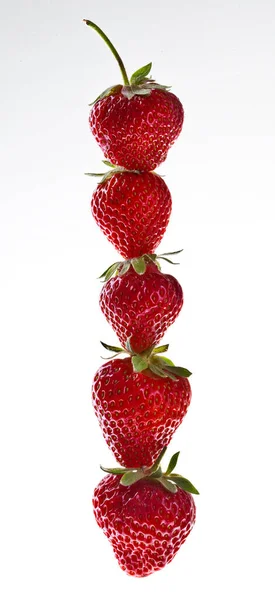 Frische Erdbeeren in einer Reihe vor weißem Hintergrund — Stockfoto