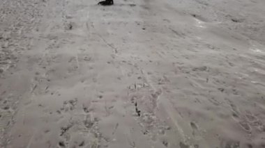 Kar Altında Kızak Kızak, Kışın Oynayan Çocuk, Akşam Dışarıda Kızak Çeken Küçük Kız