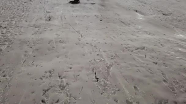 Kid Sledding na neve, criança brincando no inverno, menininha dormindo ao ar livre no parque à noite — Vídeo de Stock