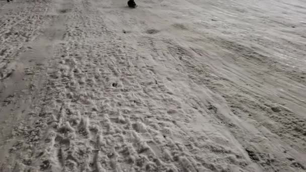 Kid Sledding na neve, criança brincando no inverno, menininha dormindo ao ar livre no parque à noite — Vídeo de Stock