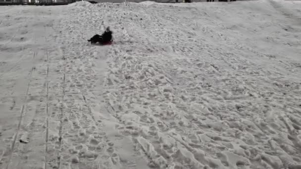 Kid Sledding en la nieve, Niño jugando en invierno, Niña trineo al aire libre en el parque por la noche. — Vídeos de Stock