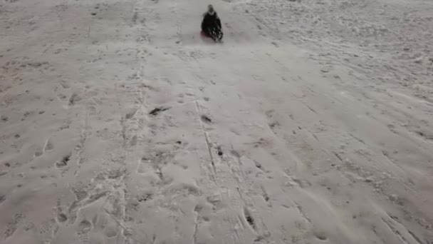 Kid Sledding na neve, criança brincando no inverno, menininha dormindo ao ar livre no parque à noite. — Vídeo de Stock