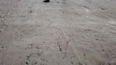 Kar Altında Kızak Kızak, Kışın Oynayan Çocuk, Akşam Dışarıda Kızak Çeken Küçük Kız.