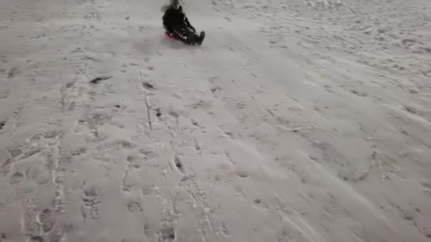 Kid Sledding na neve, criança brincando no inverno, menininha dormindo ao ar livre no parque à noite. — Vídeo de Stock