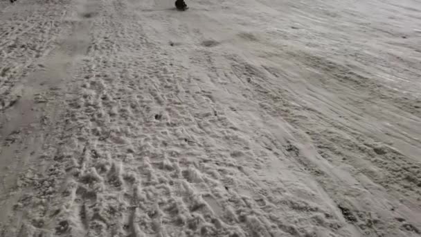 Kid Sledding en la nieve, Niño jugando en invierno, Niña trineo al aire libre en el parque por la noche — Vídeos de Stock