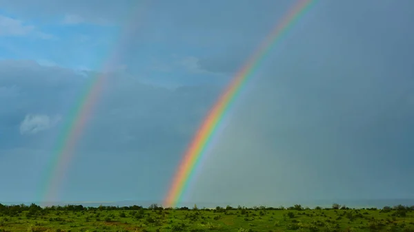 De Regenboog over een veld na onweer — Stockfoto